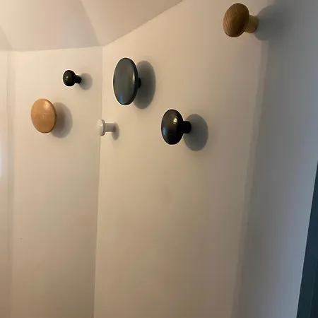 Les Tadornes